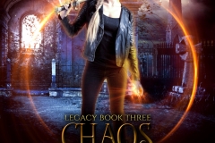 Chaos-in-the-Storm-ebook-SMALL